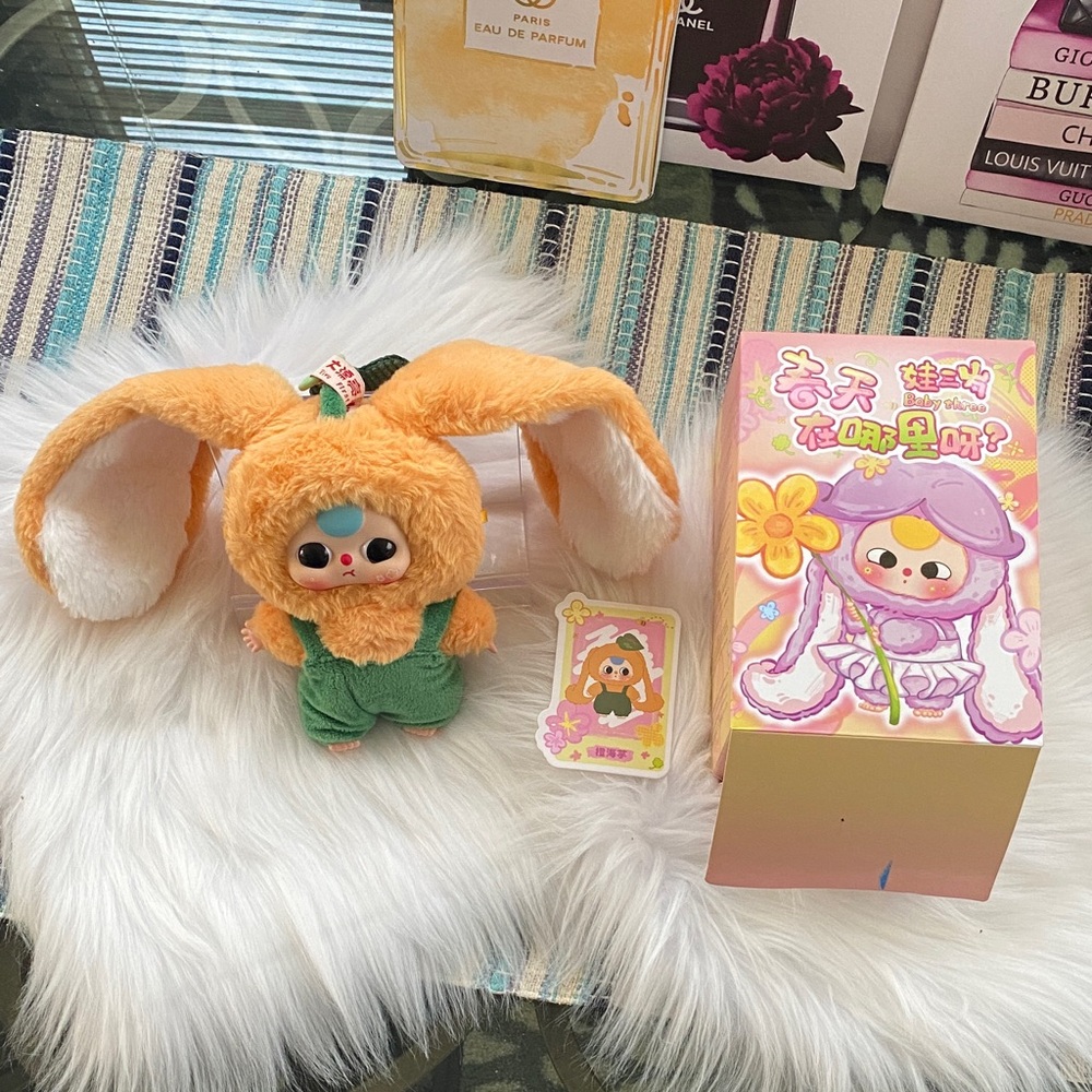 Baby Three orange Calla Lily / Where’s Spring / confirmed